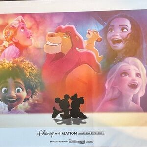 Disney Animation Immersive Experience with Vibrant Characters